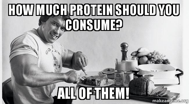 Protein for pole – are you eating enough?