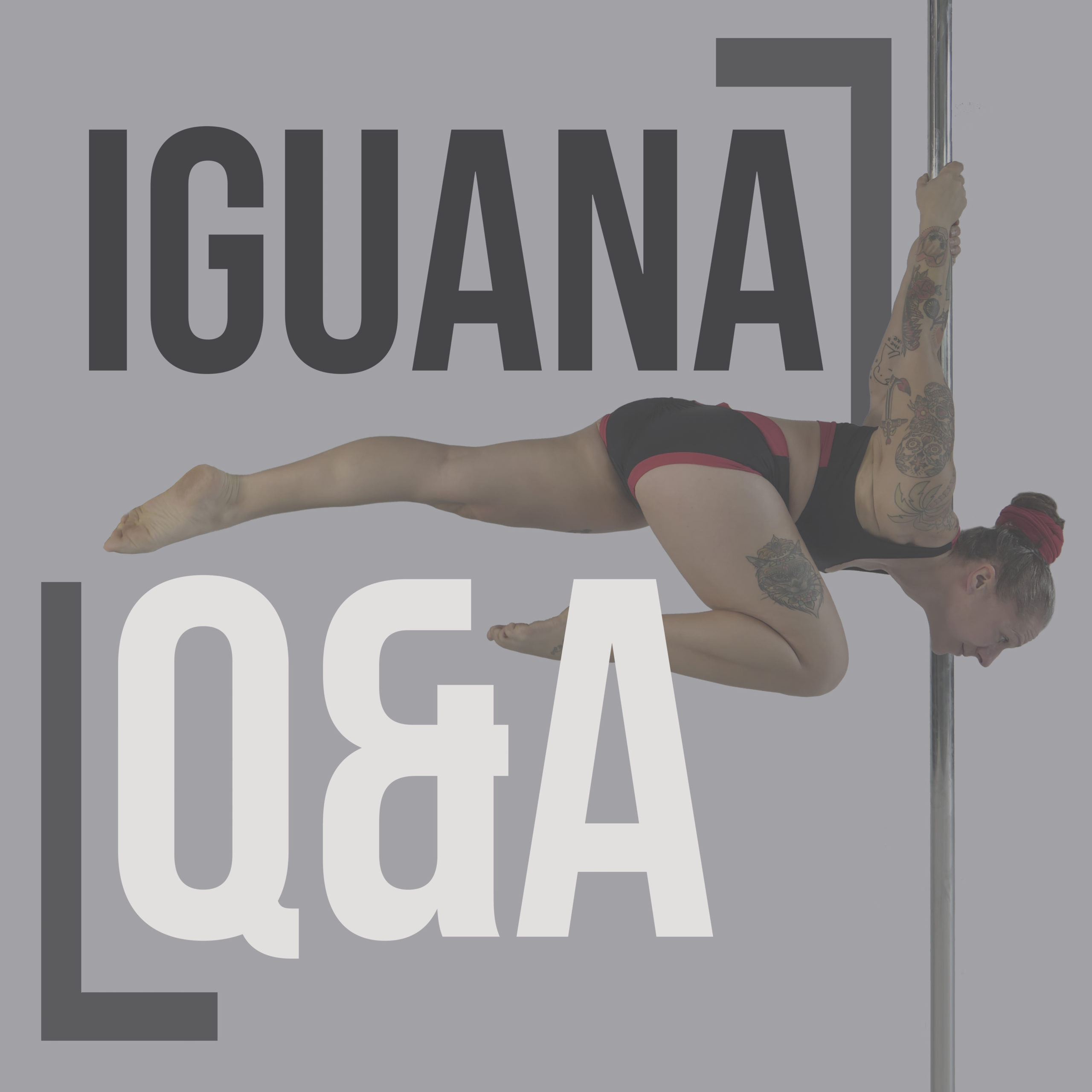 Iguana Q&A