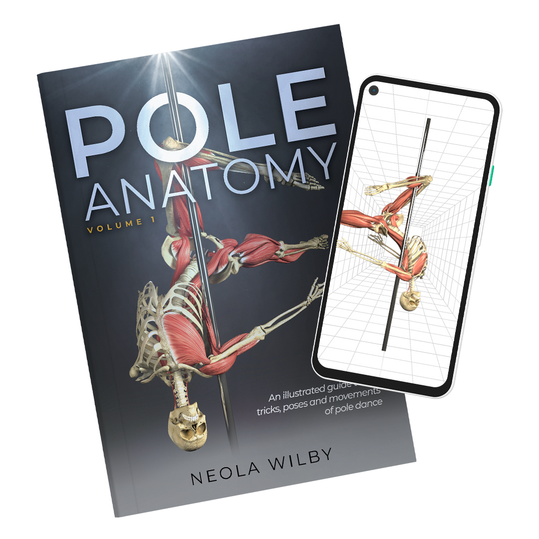 Pole anatomy 3D