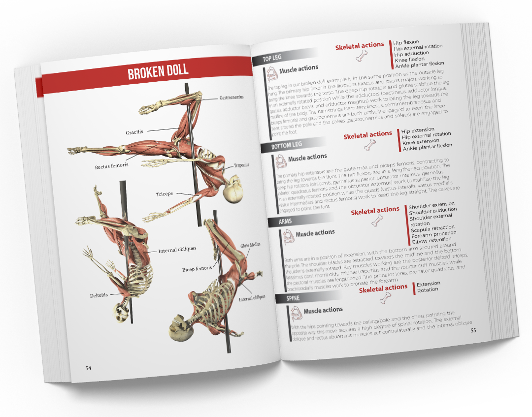 Pole anatomy book example