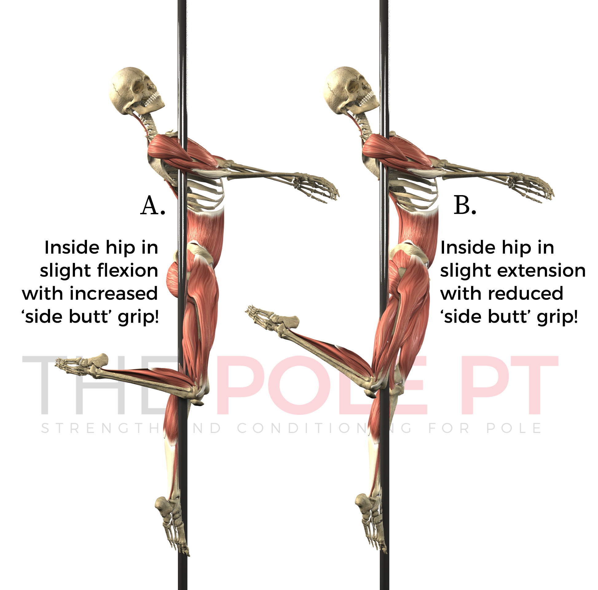 Go Figure!  Pole Anatomy: Figurehead – The Pole PT