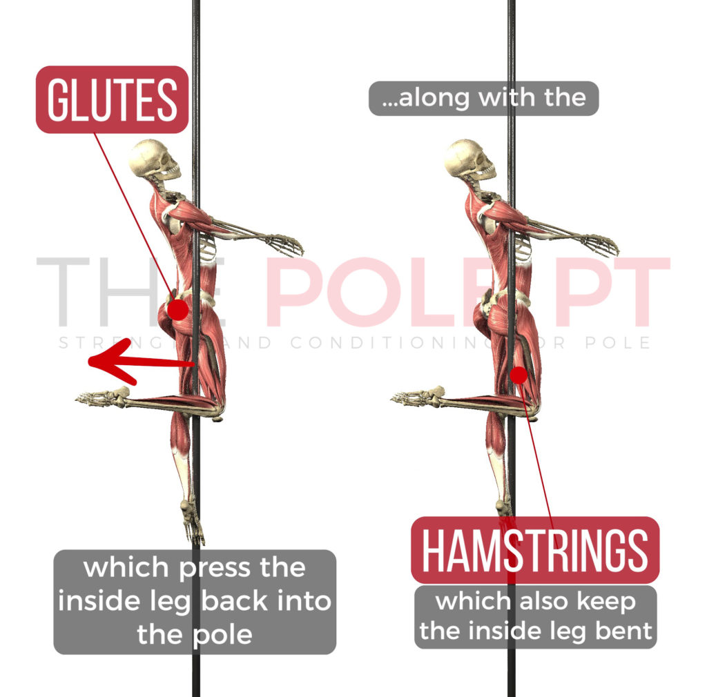 Anatomy of the pole dance figurehead move inside leg