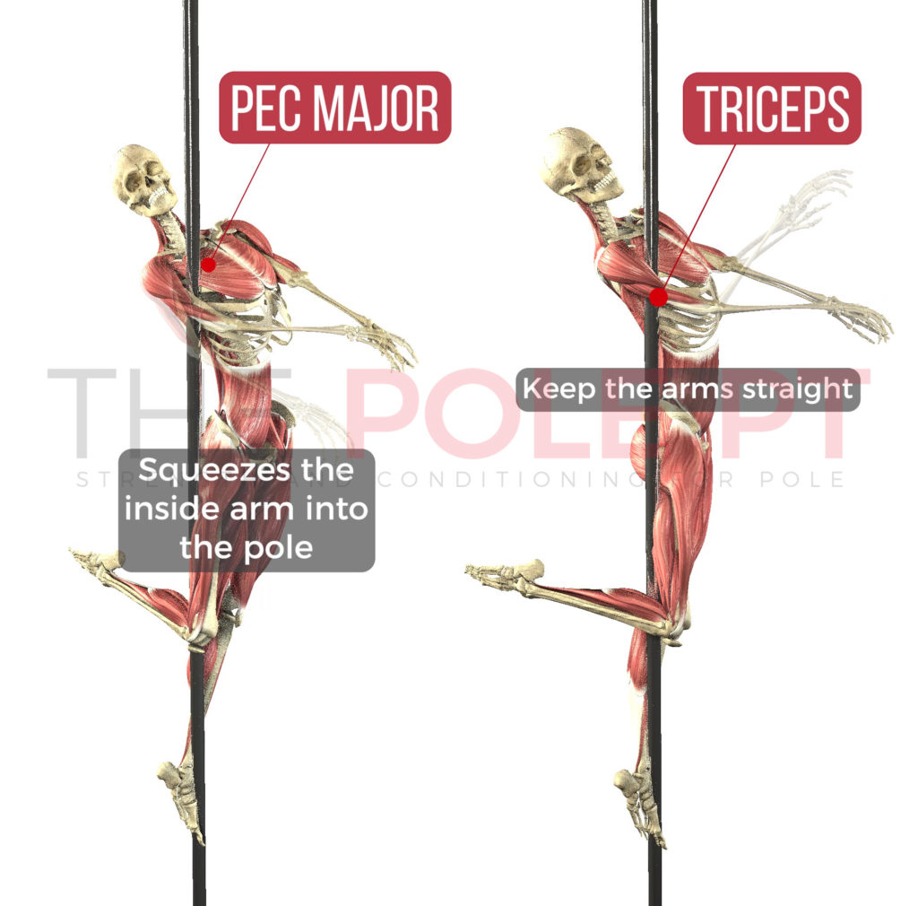 Arm positioning in the pole dance figurehead