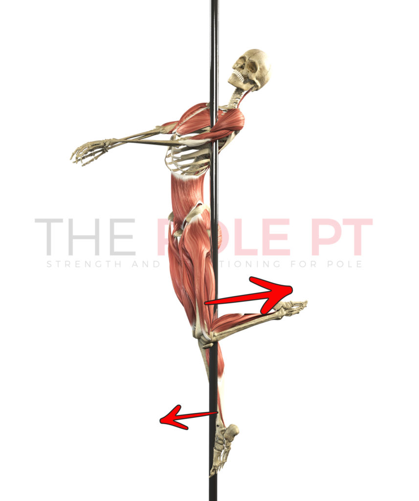 Leg grip in the pole dance figurehead