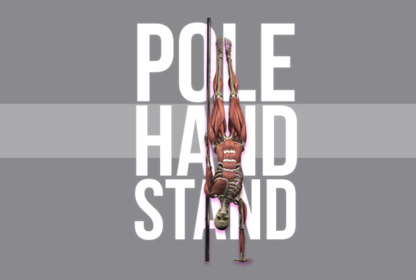 Pole handstand anatomy