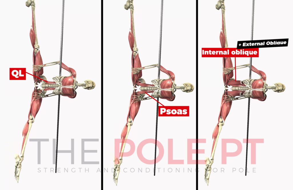 Anatomy of pole - the role of the core in the bat wing trick