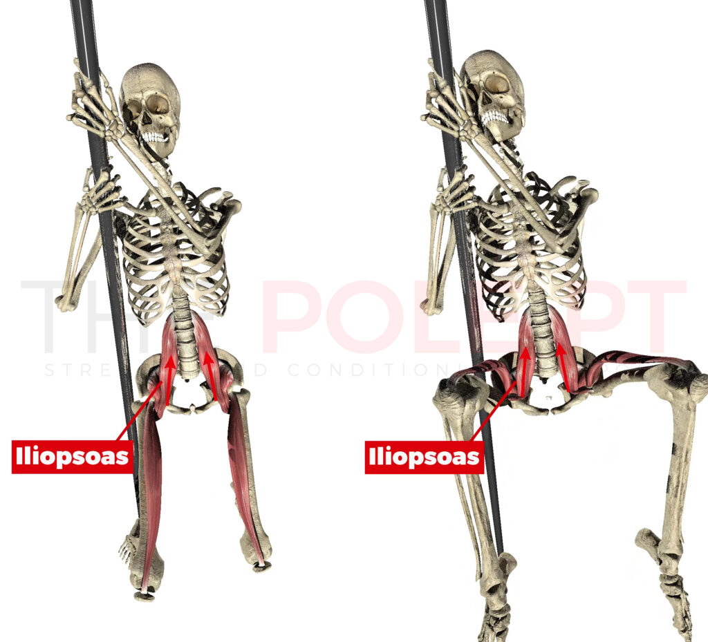Hip flexor muscles in the pole invert