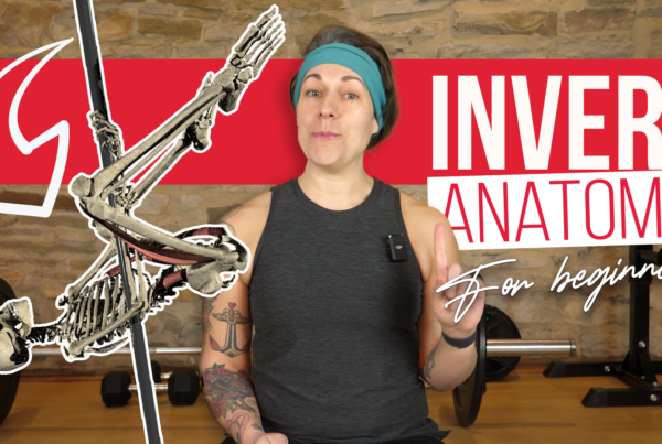 Invert anatomy video
