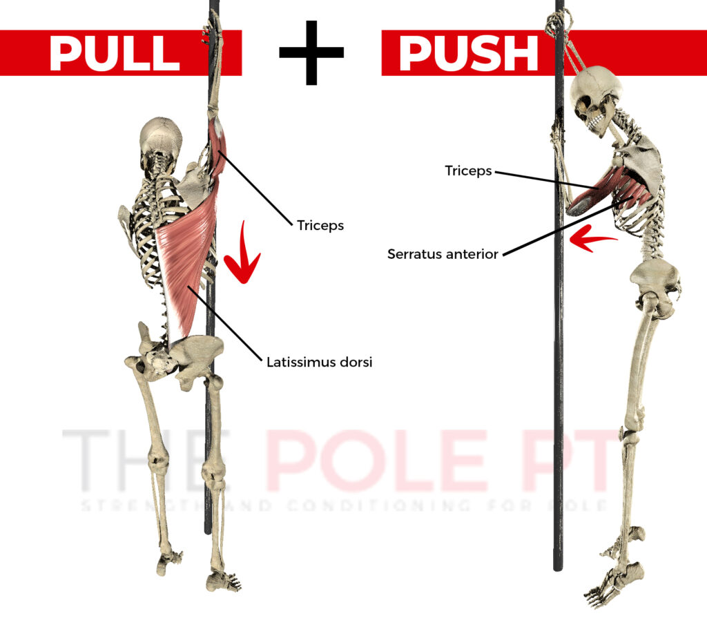 Push and pull in the pole climb
