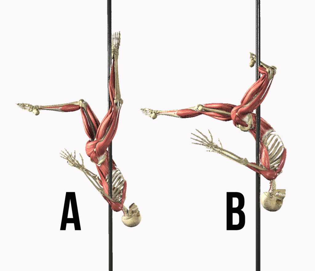 Image showing the different inside leg hangs beginner to advanced