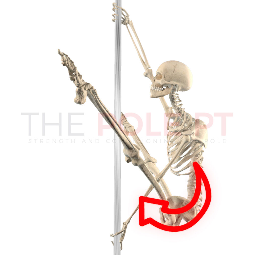 Spinal flexion pole boomerang