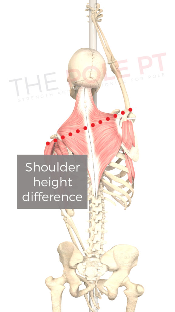 Image showing shoulder height difference between top and bottom arm in split grip on pole.
