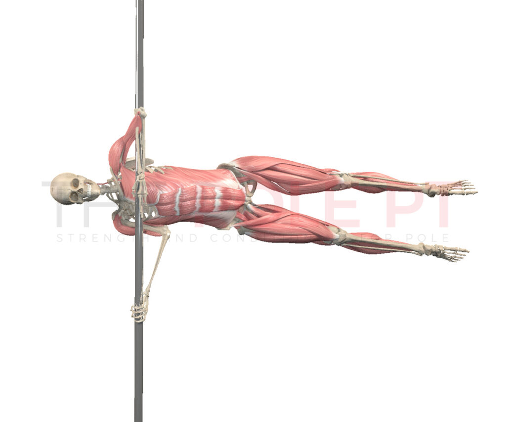 Human flag pole dance